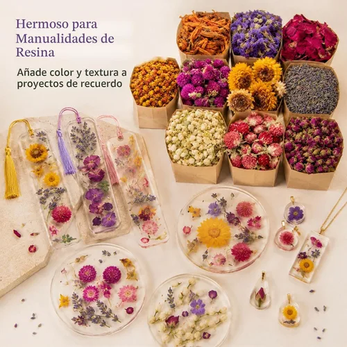 Vista 8 de Sukh Kit de hierbas secas – Botánicos secos a granel, 9 bolsas de flores secas naturales y hierbas para jabón, vela, perfume, bombas de baño
