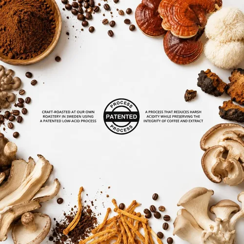 Vista 2 de Rå Hygge Organic Ground Lion’s Mane Mushroom Coffee - Medium Roast, 8 oz (16 Cups) - Focus & Cognitive Boost Coffee, Low-Acid & Jitter-Free