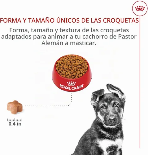 Vista 6 de Royal Canin Breed Health Nutrition - Alimento seco para perros pastor alemán, 2.5 libras
