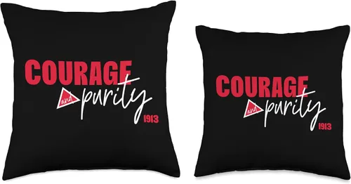 Vista 3 de The DST In Me Courage Crimson and Purity Triangle Sisterhood - Almohada de 16 x 16 pulgadas, multicolor