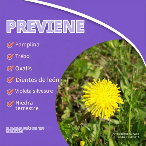 Vista 3 de Bonide 061 Chickweed & Clover Killer, Concentrado, 1-Pt. - Cantidad 1