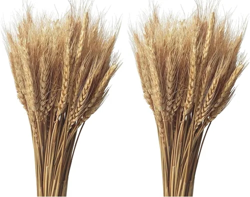 Vista 7 de Paquete de 100 tallos de trigo seco natural para decoración del hogar, manualidades