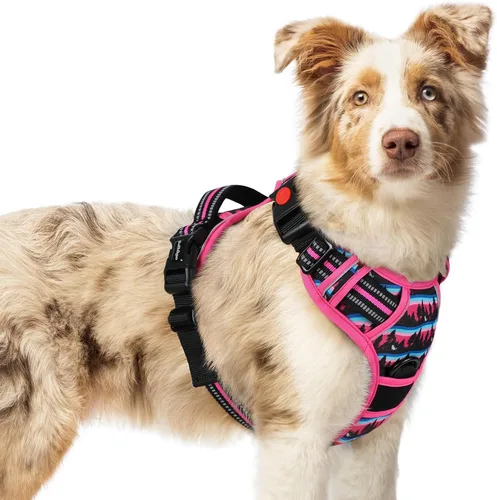 Vista 21 de Rabbitgoo - Arnés para perro de tamaño pequeño, arnés para mascotas sin tirones con 3 hebillas, chaleco acolchado suave ajustable con mango