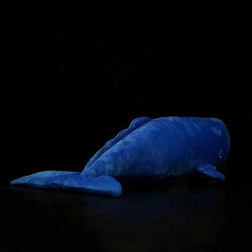Vista 9 de Juguete de peluche realista de ballena espermática – Juguetes de peluche de ballena espermatozoides largos y realistas, súper suaves, muñecos