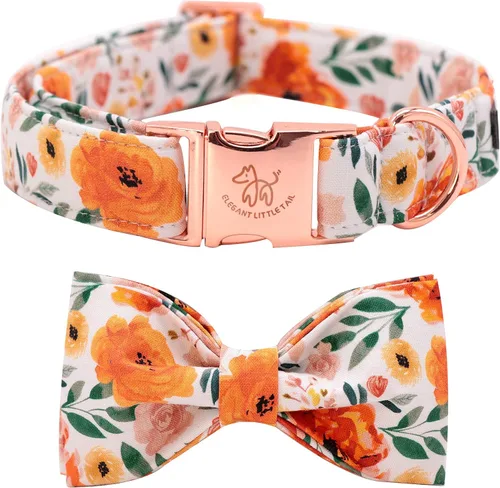 Vista 28 de Elegant little tail - Collar de otoño para mascotas con corbatín, lindo collar de Halloween con estampado de flores y calabaza para cachorros