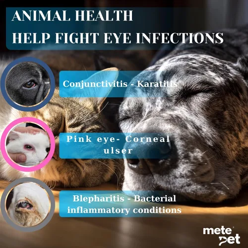 Vista 3 de Vetromycin pomada oftálmica para mascotas para perros y gatos 1/8 oz /5gr, 1 tubo - Cuidado ocular diario suave, aplicación tópica fácil