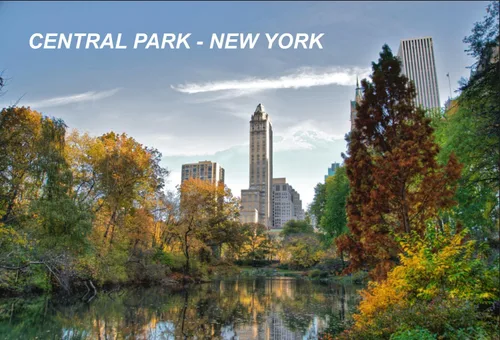 Vista 12 de Imanes de nevera para nevera de Nueva York USA Estados Unidos (1 pieza, Estilo: Puente de Brooklyn # C7)