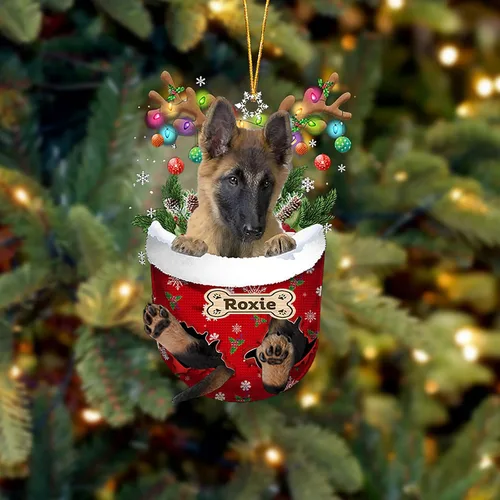 Vista 150 de LOVELYPOD Adorno Personalizado de Perro Affenpinscher, Adornos de Navidad Affenpinscher Regalo para Amante de Perros, Adorno de Navidad Colgante