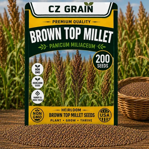 Vista 50 de CZ Grain Semillas para plantar, 40 pequeñas mezclas de calabaza