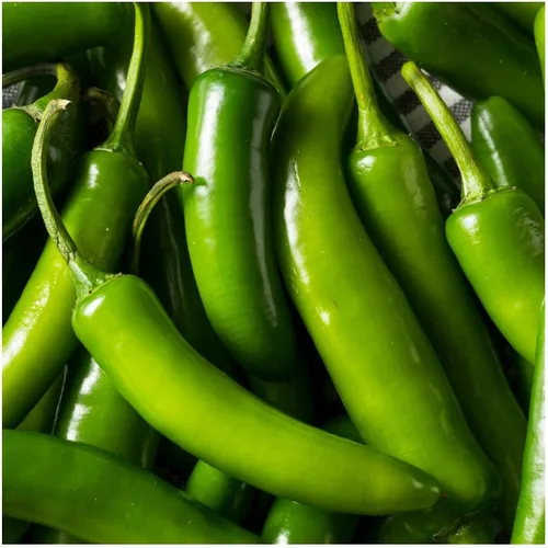Vista 2 de Everwilde Farms - Semillas de pimiento picante serrano de 1 onza - Gold Vault