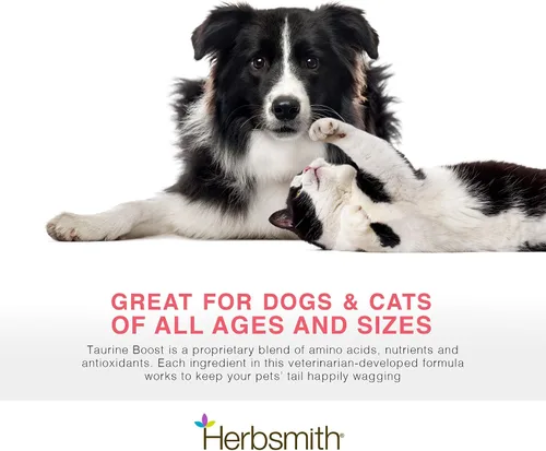 Vista 4 de Herbsmith Taurine Boost - Soporte cardíaco y cardíaco para perros y gatos - Suplemento de taurina para la salud cardíaca de perros y gatos