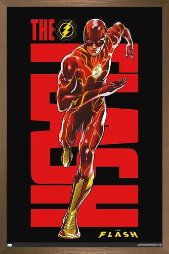 Vista 16 de Trends International DC Comics Movie The Flash - Póster de pared de Barry Allen