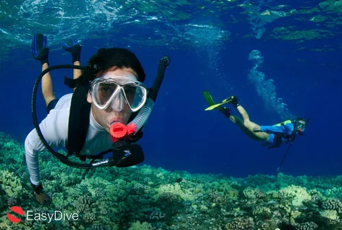 Vista 4 de Nuevo EasyDive Explorer: el sistema completo de buceo y snorkel