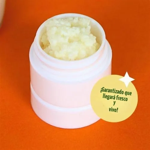 Vista 8 de Granos de kéfir de leche para hacer bebidas probióticas de kéfir