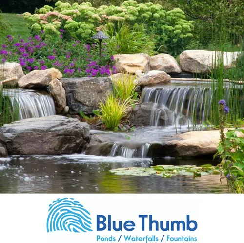 Vista 3 de Blue Thumb Elite Skimmer, tamaño pequeño, 8