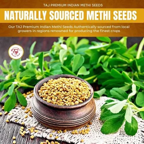 Vista 3 de TAJ Premium Indian Methi Seeds, semillas de fenogreco, Trigonella foenum graecum, (14 onzas)