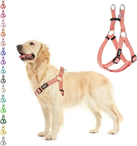 Vista 31 de Pupteck - Arnés para perros sin jalar, suave, ajustable, de nailon, talla básica, chaleco para cachorro, para caminar al aire libre con etiqueta