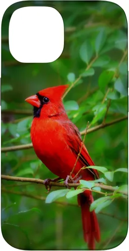 Vista 4 de Hermosa cardenal pájaro rojo escena de la naturaleza caso para iPhone 17