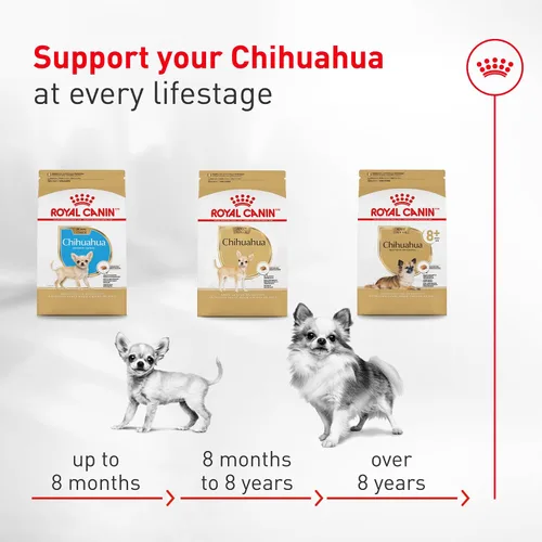 Vista 8 de Royal Canin Chihuahua - Alimento seco específico para perros de raza adulta, bolsa de 2.5 libras Breed Specific Nutrition, Supports Healthy
