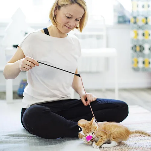 Vista 6 de simarro 3 piezas de juguetes de varita de plumas para gatos, juguete interactivo para gatos de interior y adultos, juguetes coloridos para gatos