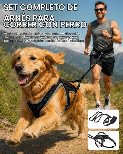 Vista 3 de Juego de arnés para correr para perros con cinturón y correa de absorción de golpes