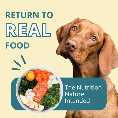 Vista 4 de Steve's Real Food Dieta de alimentos crudos liofilizados para perros y gatos, receta de pescado blanco, 1.25 libras en cada bolsa, fabricada