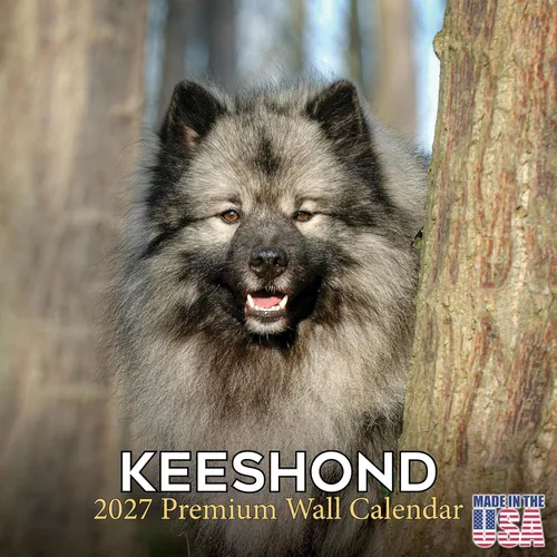 Vista 81 de Calendario de Lebrel Afgano 2025 2026, calendario mensual de pared de raza canina, 12" x 18" abierto, papel grueso sin traspaso, ideal para regalo