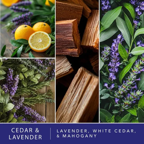 Vista 2 de ScentSationals Cera perfumada de cedro y lavanda, lavanda, cedro blanco y caoba, 10 onzas (24 cubos)