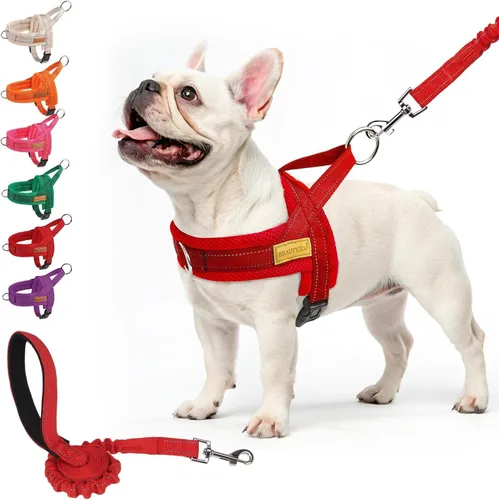 Vista 49 de BEAUTYZOO Arnés para Perros Pequeños, Juego de Arnés y Correa sin Tirones, Arnés de Pecho para Cachorros a Prueba de Escapes con Mango, Arnés Beige