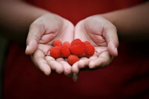 Vista 2 de 20 Seeds Australian Raspberry aka Queensland & Atherton Raspberry Rubus Probus Red Berry Fruit Shrub