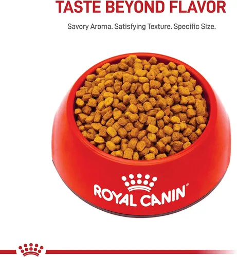 Vista 8 de ROYAL CANIN Dachshund Puppy - Alimento seco para perros, bolsa de 2.5