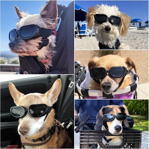 Vista 2 de Antiparras anteojos de sol para gatos o perros pequeños, Negro Negro clásico