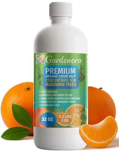 Vista 98 de GARDENERA Superalimento orgánico prémium de algas marinas y algas marinas para plantas AROID - 32 oz - Concentrado de fertilizante líquido de algas