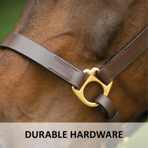 Vista 7 de Dura-Tech Premier Lancaster - Cabestro de cuero para caballos Cabestro de cuero económico simple con ajuste ajustable y herrajes de latón macizo