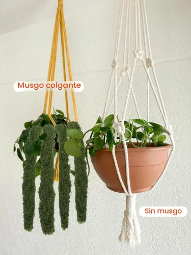 Vista 9 de Planta artificial de musgo artificial de musgo floral verde de 5.3 onzas para manualidades, manualidades de hadas, jarrón, florero, decoración de A