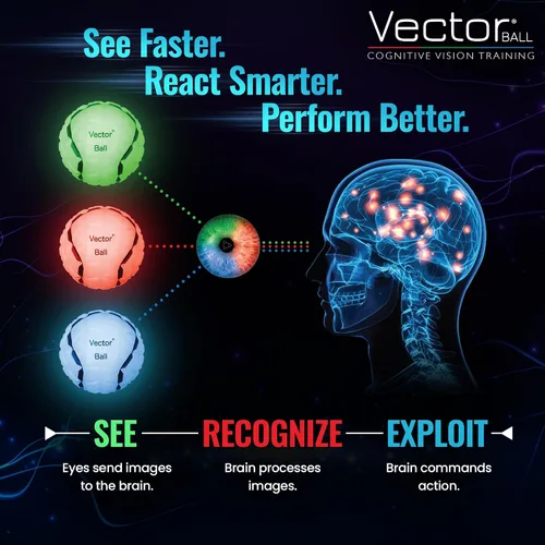 Vista 6 de Vector Ball S Impact Color-Changing Neuro-Visual Reaction Ball