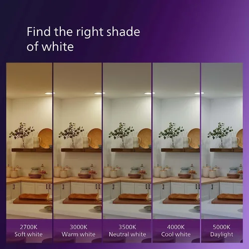 Vista 8 de PHILIPS LED Paquete de 2 Bombillas de Luz G25 de 60W de Ultra Definición Luz de Día (5000K) 500 Lúmenes (5W = 60W) Regulables Esmeriladas Sin