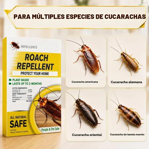 Vista 2 de Mantén las cucarachas alejadas en interiores y exteriores, las cucarachas