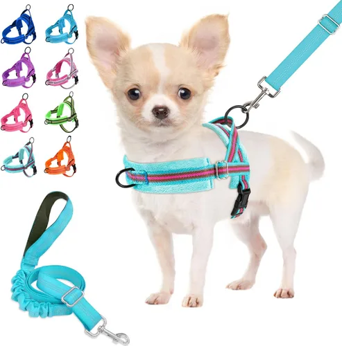Vista 10 de Lukovee Juego de arnés y correa para perro sin tirones, arnés acolchado suave para perro pequeño, chaleco reflectante ajustable para cuello y pecho