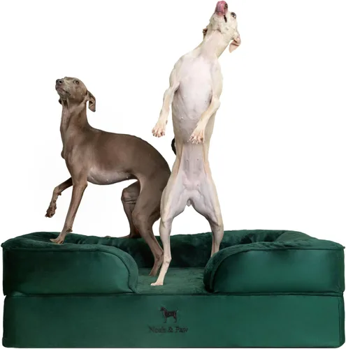 Vista 25 de NOAH & PAW Cama para perros pequeños, 20 x 15 x 8 pulgadas, cama para gatos de interior, espuma viscoelástica ortopédica de cáscara de huevo