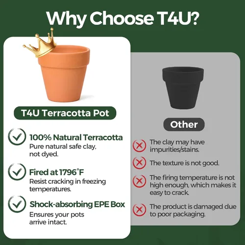 Vista 2 de T4U Mini macetas de terracota (36 piezas): macetas pequeñas de arcilla de 2 pulgadas con orificios de drenaje, ideales para plantas de cactus