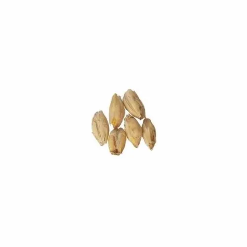 Vista 2 de Malta de cerveceros de 2 hileras para elaborar cerveza casera grano triturado 10 libras
