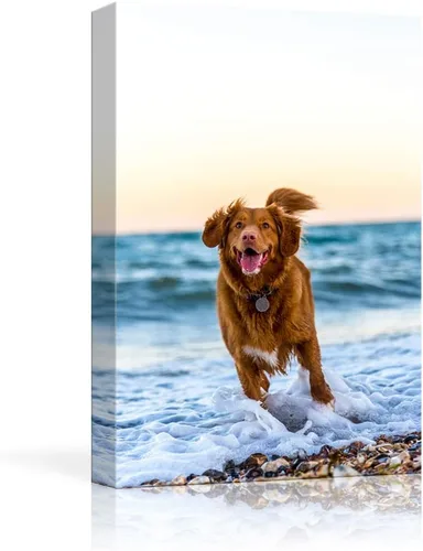Vista 11 de NWT - Fotografía personalizada sobre lienzo con diseño de mascota y animal