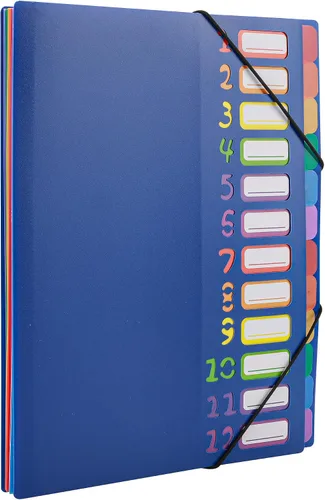 Vista 7 de Edufun Carpeta de archivos expandible de 12 bolsillos con páginas extraíbles, 6 pestañas numeradas, colorido organizador A4 para oficina y escuela