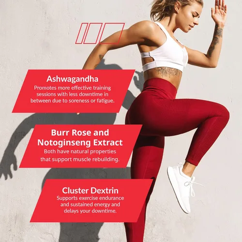 Vista 7 de Granite Nutrition Recovery - Bebida intraentrenamiento prémium con EAA, dextrina en racimo, Sensoril y Senactiv para rendimiento atlético