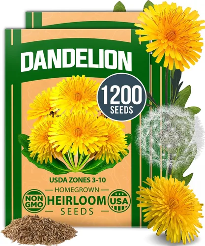 Vista 31 de HOME GROWN - Semillas de zinnia rosadas – 600 Zinnias Luminosa de 0.02 oz, semillas de flores anuales fáciles de cultivar para plantar al aire libre