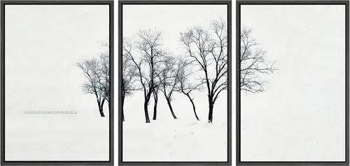 Vista 83 de SIGNWIN Lienzo enmarcado para pared, juego de arte nublado de tormenta, cielo, bosque otoñal, árboles, rústico, naturaleza, fotografía, realismo