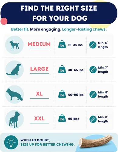 Vista 4 de Onward Hound - Cuernos de alce para perros, tamaño mediano entero de 6 pulgadas +, 1 paquete Sized for dogs 15–35 lb. Grade A, naturally shed in
