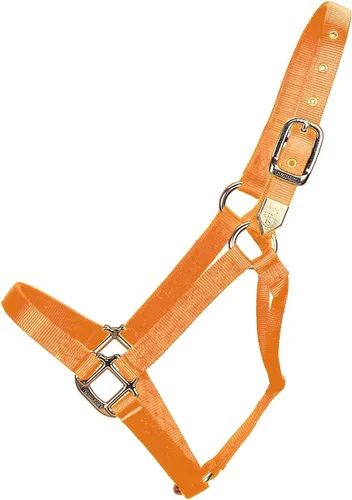 Vista 23 de Hamilton Caballo de nailon de 1 pulgada, tamaño pequeño (500-800 libras), azul baya