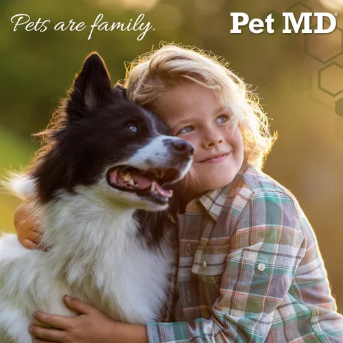 Vista 6 de Pet MD Salmon Omega Bites for Dogs - Suplemento para piel y pelaje con Omega 3 y 6 para perros más DHA y EPA - Promueve la alergia y el alivio